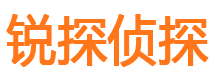 淅川侦探